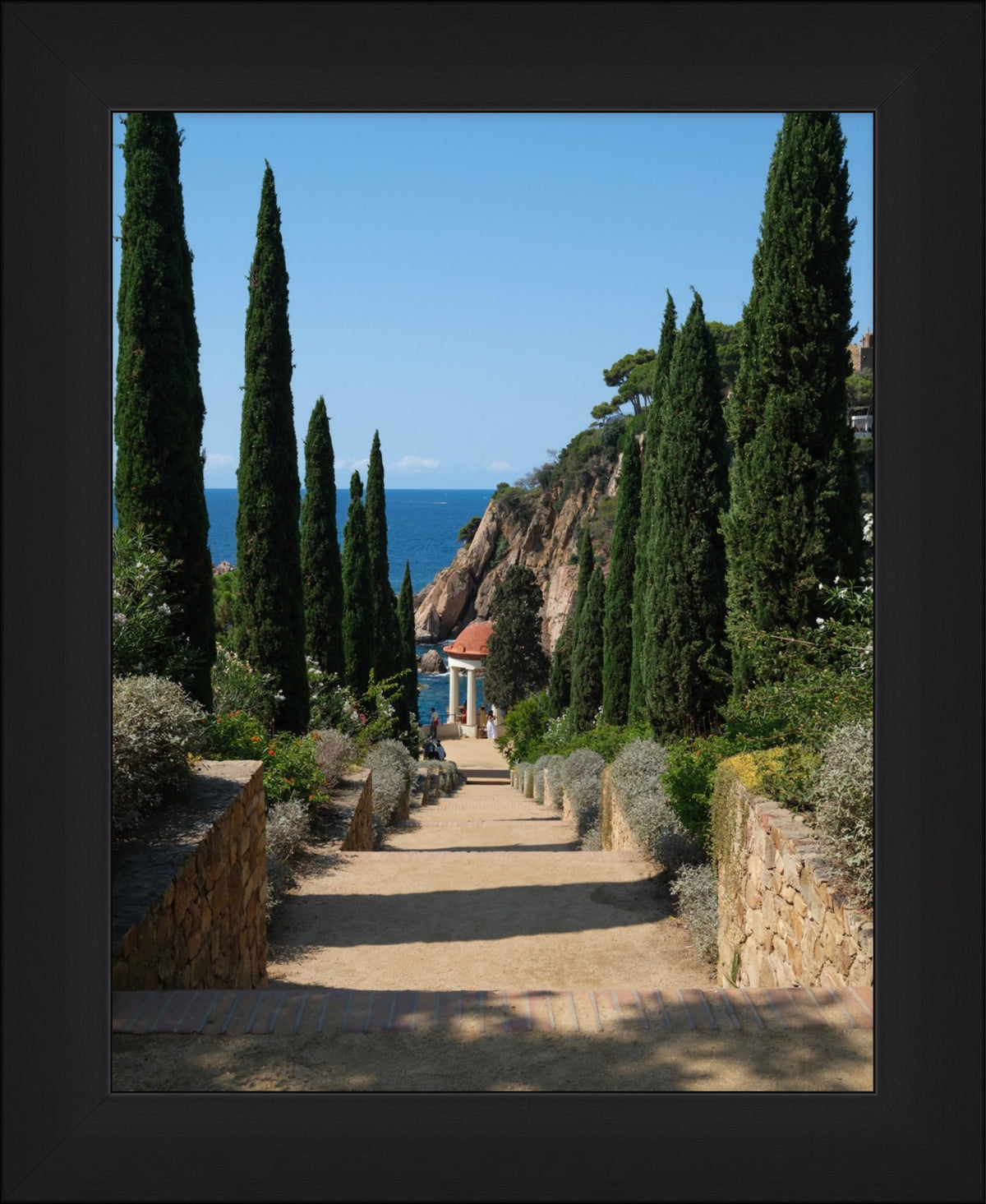 Botanical Vista
