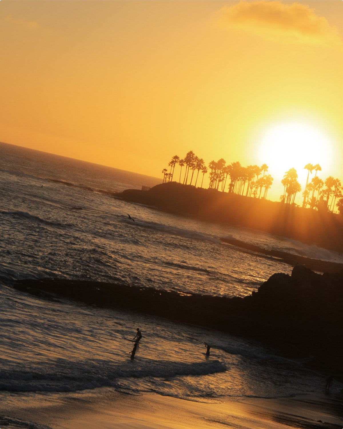 Sunkissed Solitude