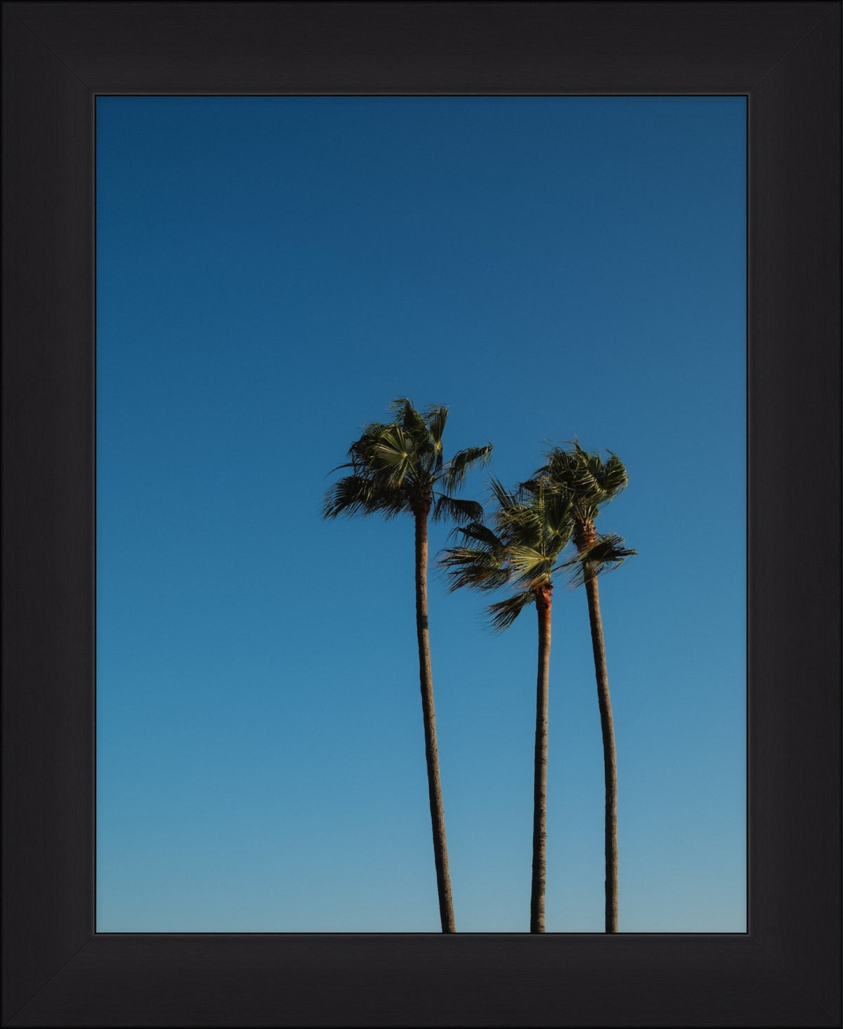 Silhouette of Paradise