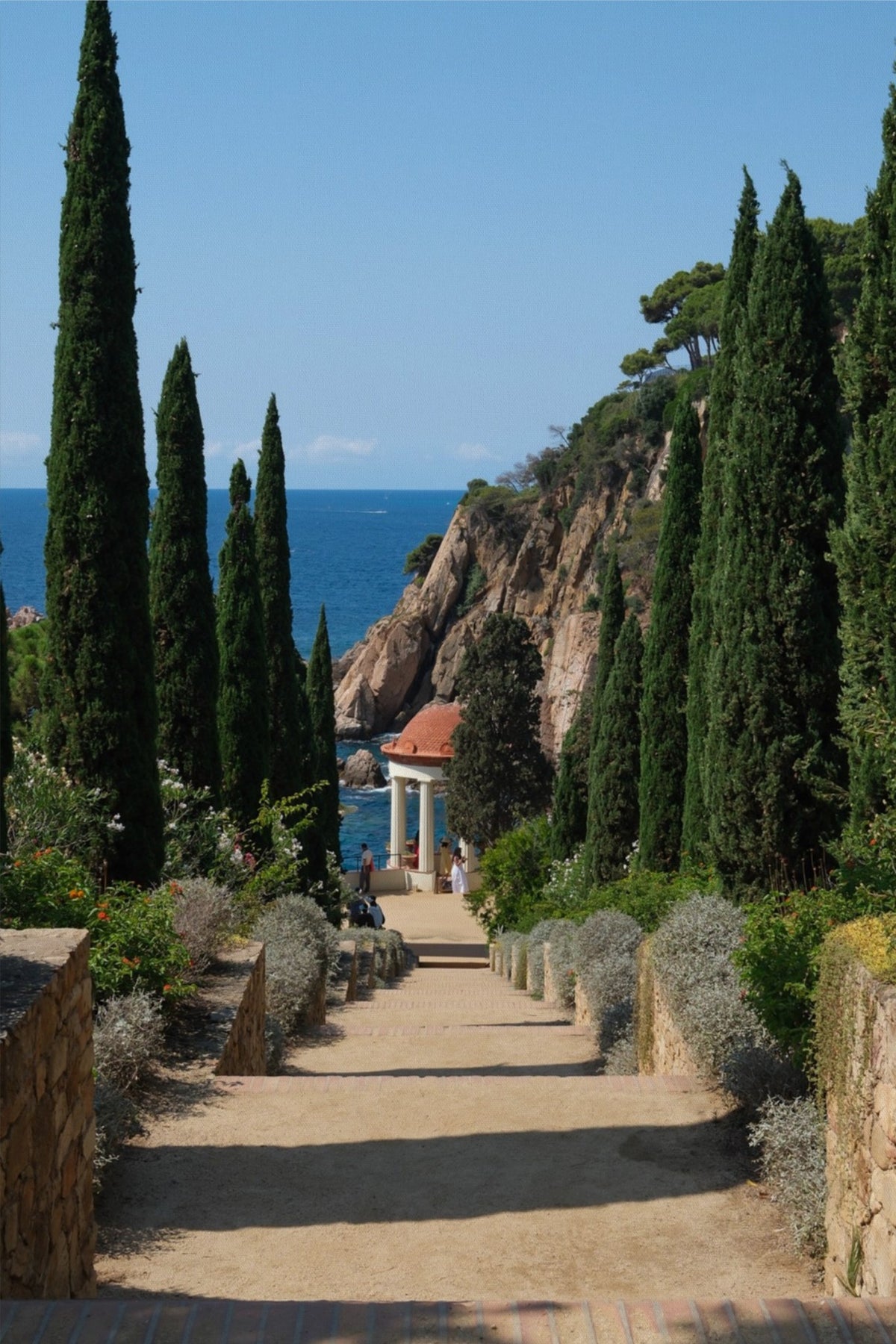 Botanical Vista