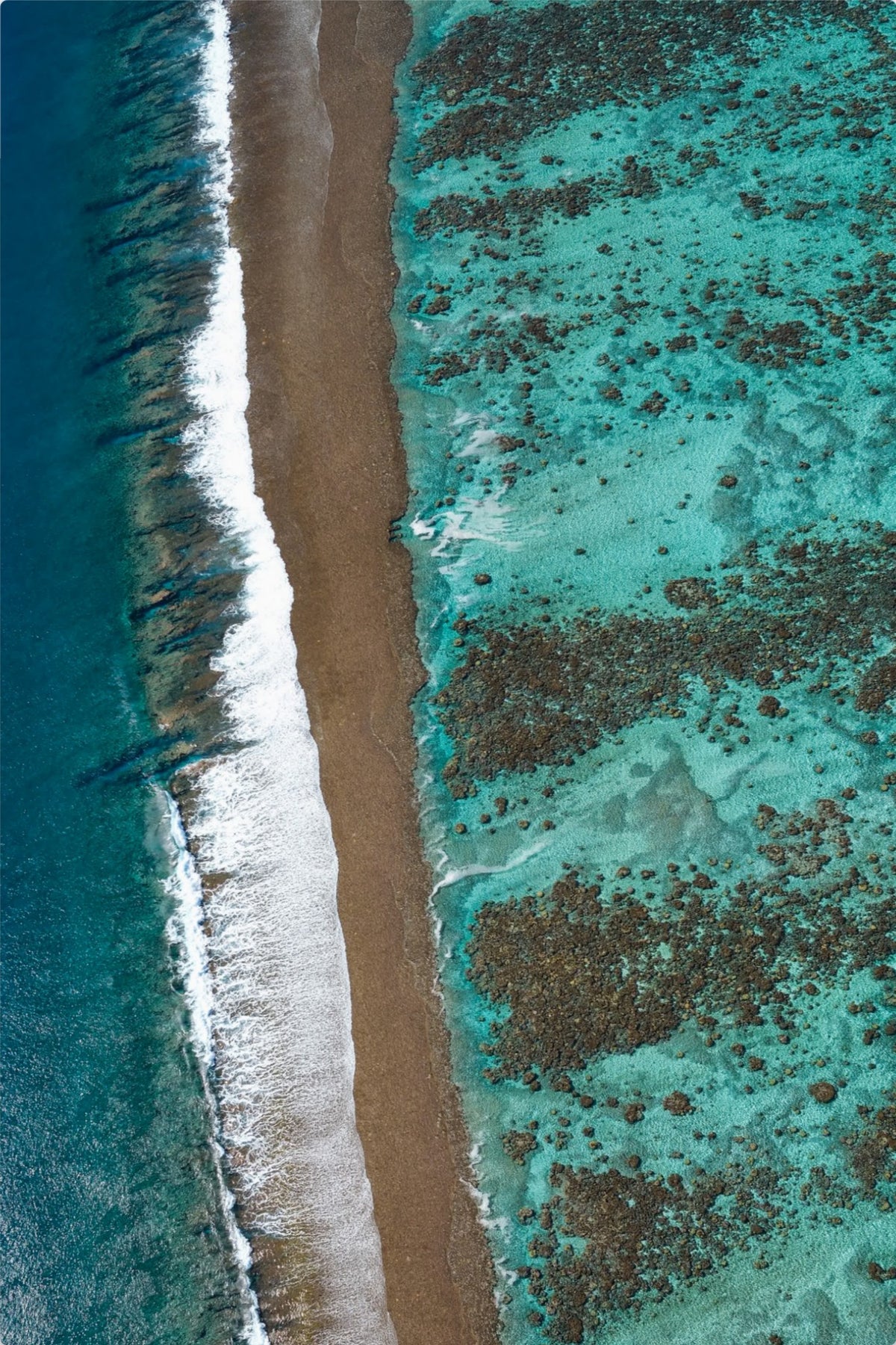 Geometric Reef